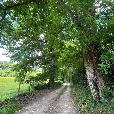 Le Logis De Bouchet Mortagne-sur-Sevre