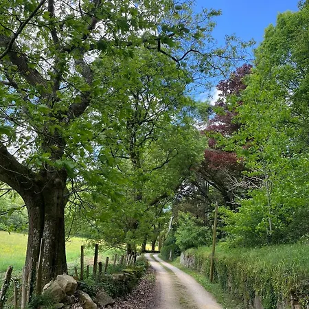 Le Logis De Bouchet Casa de Férias Mortagne-sur-Sevre