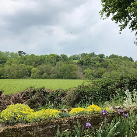 Le Logis De Bouchet Casa vacanze *