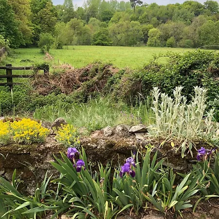Le Logis De Bouchet *