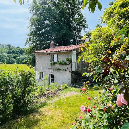Le Logis De Bouchet Mortagne-sur-Sevre