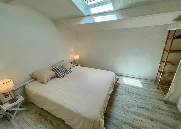 Le Logis De Bouchet 度假居 Mortagne-sur-Sevre