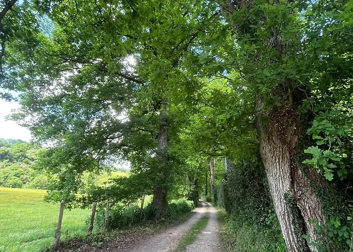 Le Logis De Bouchet Mortagne-sur-Sevre