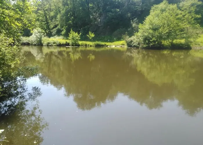 Le Logis De Bouchet *