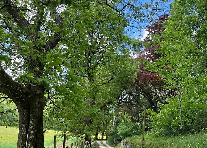 Le Logis De Bouchet Casa de Férias Mortagne-sur-Sevre