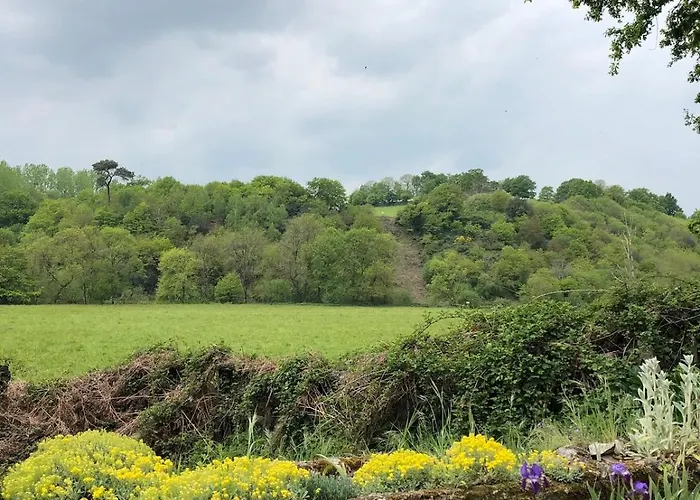 Le Logis De Bouchet 度假居 *