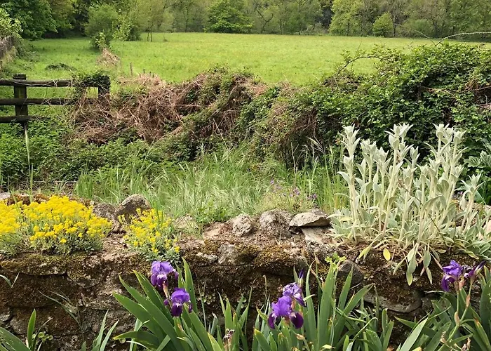 Le Logis De Bouchet *