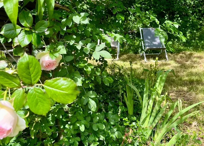 Le Logis De Bouchet 度假居